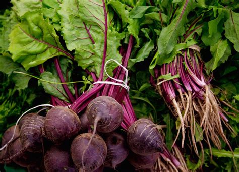 8 Types of Beets You’ll See at the Farmers Market – Produce Pack