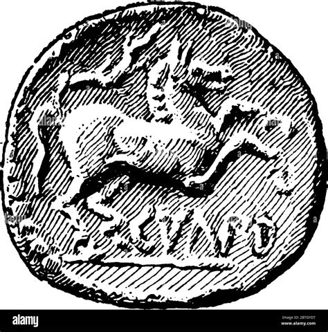 Julius Caesar Coin Drawing