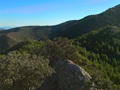 TILOBO traducciones y servicios TILOBO