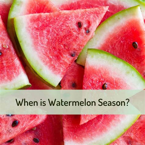 When is Watermelon Season?
