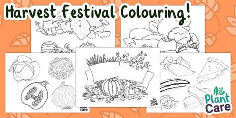 Harvest Colouring Sheets | Harvest Festival (teacher made)