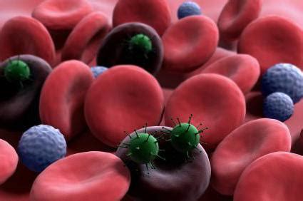 Bildergebnis für blutkrankheit