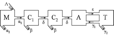 Image result for CVT Model