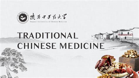 课程 - 国家高等教育智慧教育平台