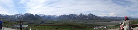 The Denali Tour Experience (Denali National Park and Preserve) - All ...