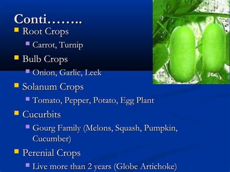Image result for Methods of Classifying Vegetables
