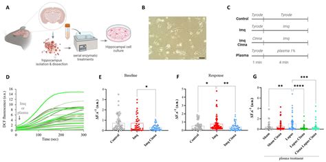 Antioxidant and Anti-Apoptotic Neuroprotective Effects of Cinnamon in ...