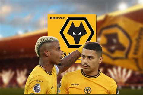 Image result for Wolves Survival