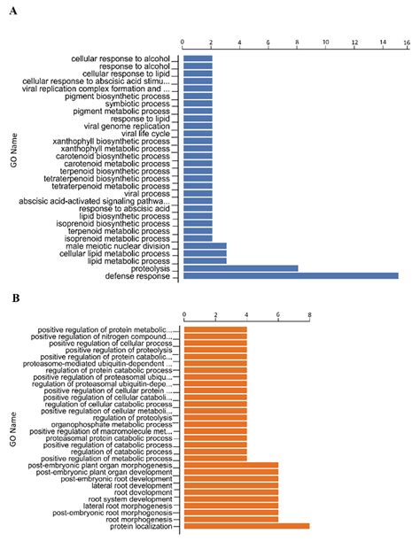 De novo Transcriptome Assembly and Comprehensive Annotation of Two Tree ...