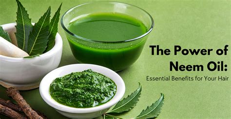 The Power of Neem Oil: Essential Benefits for Your Hair | Clinikally