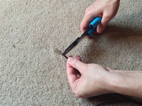 Green Tree Python Tub Setup 的图像结果