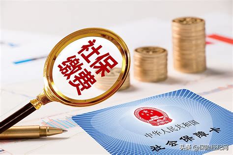 杭州社保断缴过一个月有什么影响（社保断缴1个月影响有多大？来看详细解答） | 说明书网