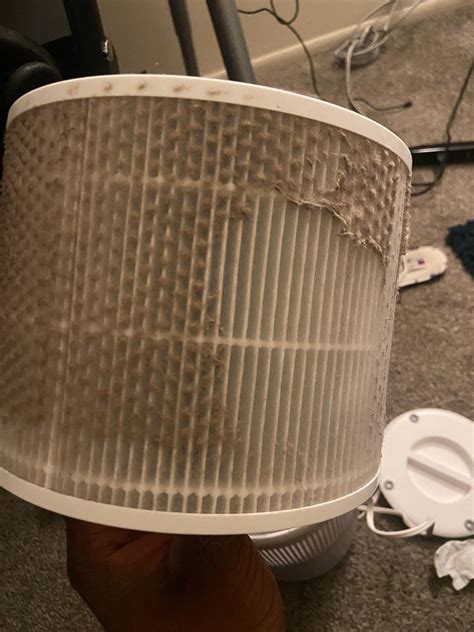 How Long Do Holmes Air Purifier Filters Last: Essential Insights