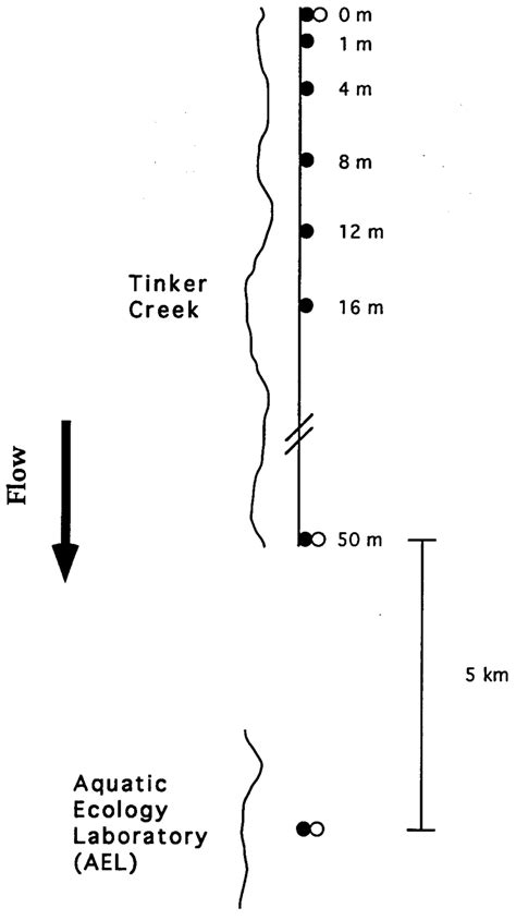 Image result for Transect Sampling