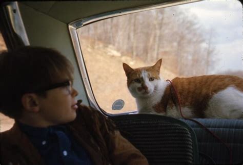 Must Read After My Death Tickets & Showtimes | Fandango