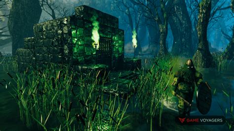 Image result for Valheim Swamp Crypt