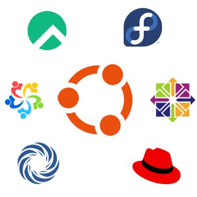 Image result for Linux Server Logo