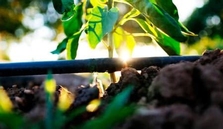Transforming Agriculture with Smart Drip Irrigation