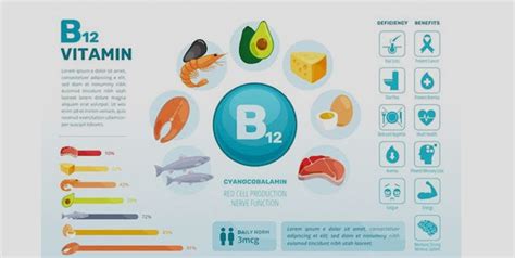 Vitamin B12 Daily Intake: How Much Do You Need? | Nutripulse - Nutripulse