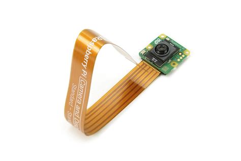 Raspberry Pi Ai Camera 的图像结果