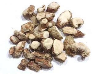 Nutrixia food Kapoor Kachari , Ekangi ,Hedychium Spicatum Seed Price in ...