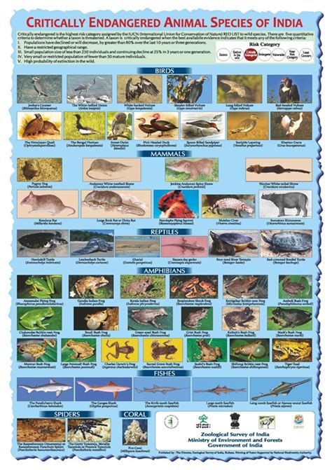Critically Endangered Animal Species of India