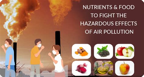 NUTRIENTS TO FIGHT THE HAZARDOUS EFFECTS OF AIR POLLUTION – Steadfast ...