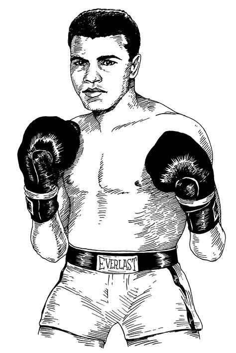 Image result for How to Draw Muhammad Ali Boxing