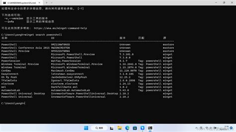 Installing PowerShell 的图像结果