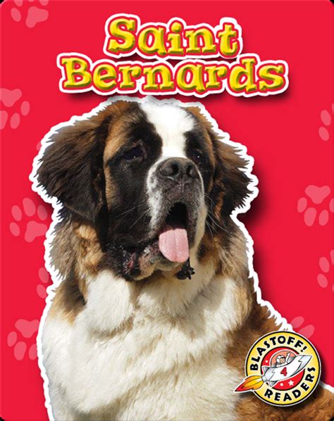 Saint Bernards: Dog Breeds Book by Anne Wendorff | Epic