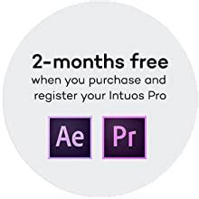 Amazon.in: Buy Wacom Intuos Pro PTH-660/K0-CX Graphics Input Tablet ...