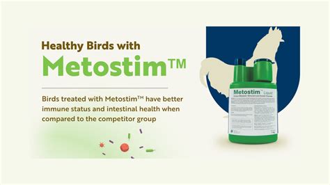 Metostim - 1kg - Liquid Growth promoter by Bentoli | Sukadev Animal Care