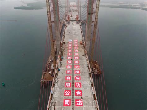 你知道湛江都有哪些跨海大桥吗？湛江跨海大桥合集来啦！|主桥|海湾大桥_新浪新闻