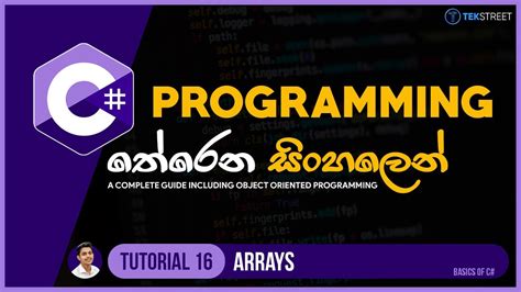 Image result for C Programming Language Tutorials in Sinhala