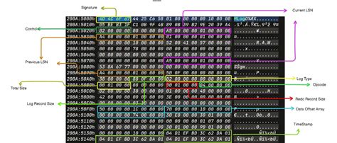 ReAL-File-System - bi0sCTF 2024 | bi0s