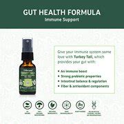 Buy LIFE CYKEL Turkey Tail Mushroom Supplement Oral Spray with Lemon ...