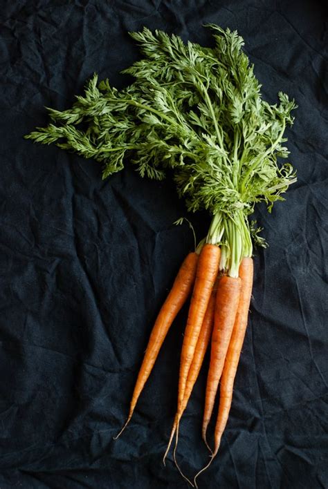 https://flic.kr/p/9HG2Qg | newly carrots | Carrots, Food photography ...