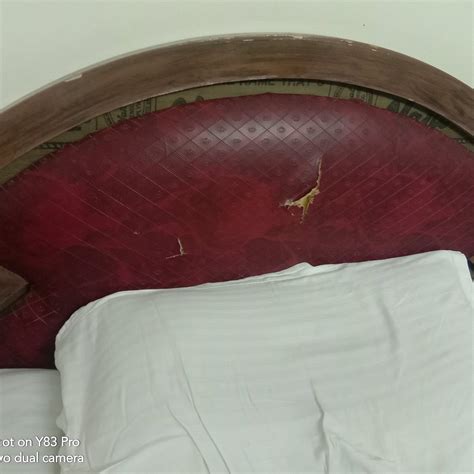 HOTEL TEMPLE CITY (Madurai, Tamil Nadu) - Lodge Reviews & Photos ...