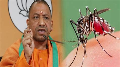 यूपी में डेंगू के बढ़ते प्रकोप को लेकर सरकार सतर्क, CM योगी ने की ...