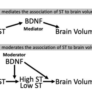 Image result for Moderation Hypothesis