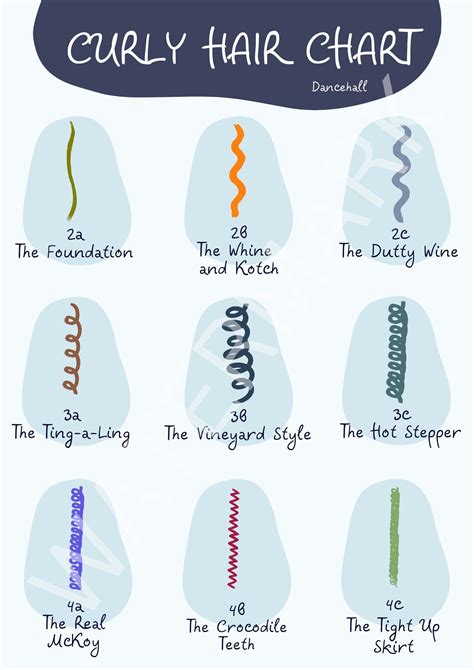 Curly hair chart – Artofit