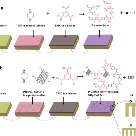 Interfacial Polymerization Process 的图像结果