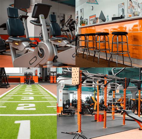 Day Night Sports 的图像结果