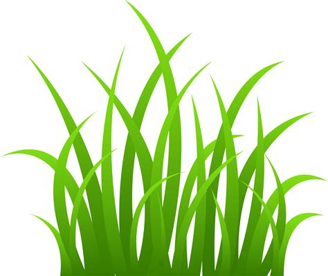 Strands of Green Grass - Free Clip Art | Grass clipart, Lawn care tips ...