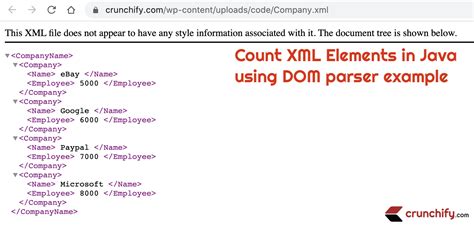 XML 101: Understanding the Basics of XML Files in 2024
