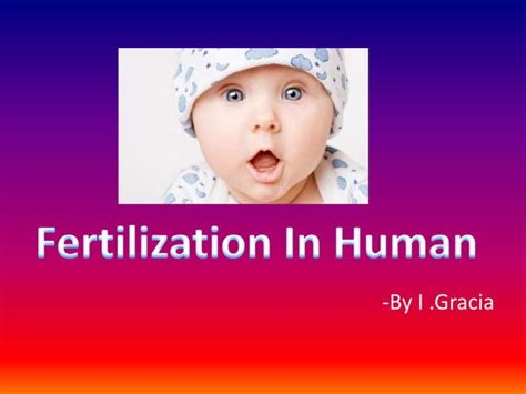 Image result for Human Fertilisation