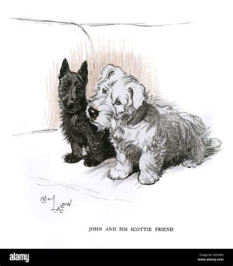 White scottie dogs hi-res stock photography and images - Alamy