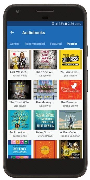 Image result for Hoopla Digital Tutorial