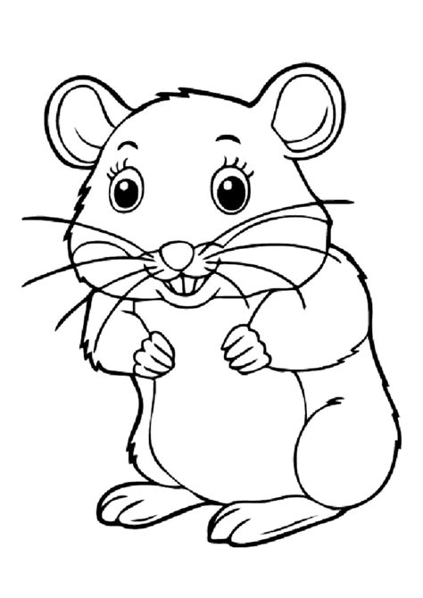 Hamsters coloring pages - ColoringLib