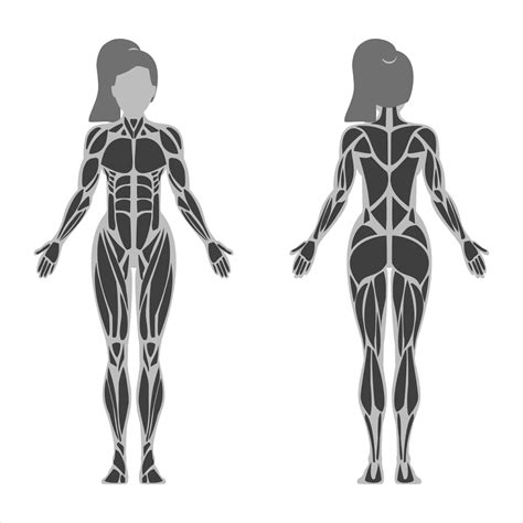 Bilateral Definition - Caregiver Guides